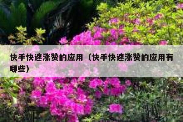 快手快速涨赞的应用（快手快速涨赞的应用有哪些） 第1张