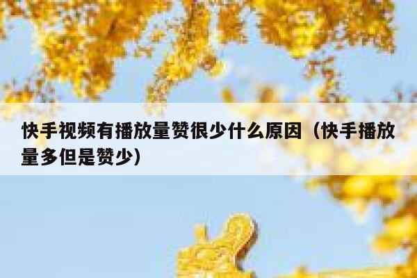 快手视频有播放量赞很少什么原因（快手播放量多但是赞少） 第1张