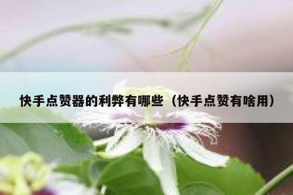 快手点赞器的利弊有哪些（快手点赞有啥用） 第1张