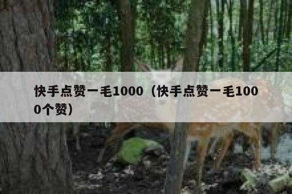 快手点赞一毛1000(快手点赞一毛1000个赞) 第1张 快手点赞一毛1000(快手点赞一毛1000个赞) 第1张