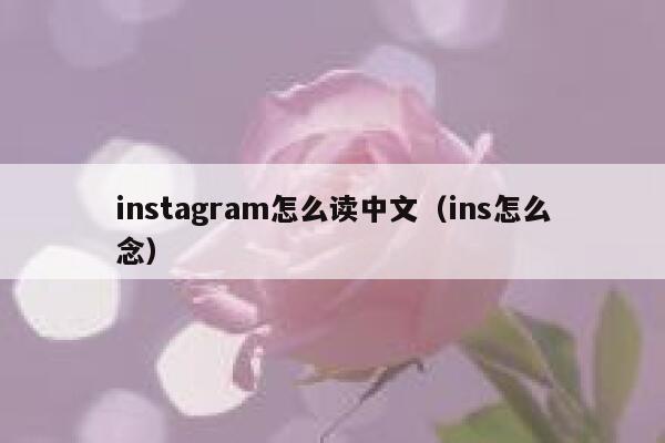 instagram怎么读中文（ins怎么念） 第1张
