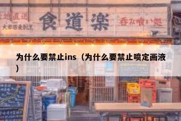 为什么要禁止ins(为什么要禁止喷定画液) 第1张 为什么要禁止ins(为什么要禁止喷定画液) 第1张