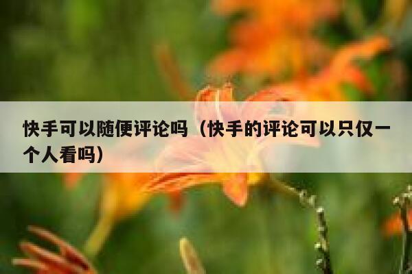 快手可以随便评论吗（快手的评论可以只仅一个人看吗） 第1张