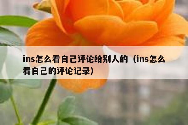 ins怎么看自己评论给别人的（ins怎么看自己的评论记录） 第1张