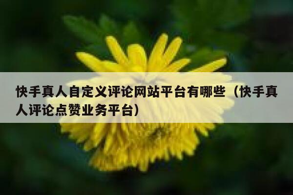 快手真人自定义评论网站平台有哪些（快手真人评论点赞业务平台） 第1张
