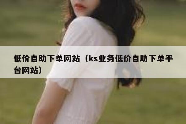 低价自助下单网站(ks业务低价自助下单平台网站) 第1张 低价自助下单网站(ks业务低价自助下单平台网站) 第1张