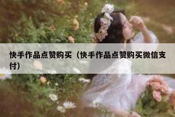 快手作品点赞购买（快手作品点赞购买微信支付） 第1张