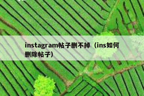 instagram帖子删不掉（ins如何删除帖子） 第1张
