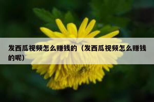 发西瓜视频怎么赚钱的（发西瓜视频怎么赚钱的呢） 第1张