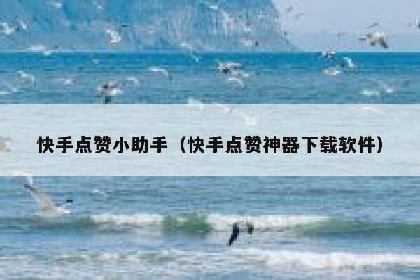快手点赞小助手（快手点赞神器下载软件） 第1张