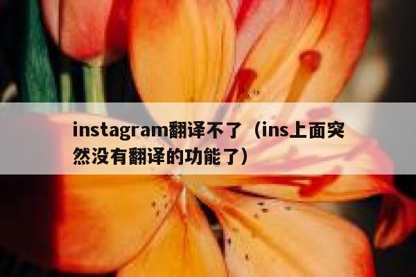 instagram翻译不了(ins上面突然没有翻译的功能了) 第1张 instagram翻译不了(ins上面突然没有翻译的功能了) 第1张