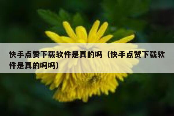 快手点赞下载软件是真的吗（快手点赞下载软件是真的吗吗） 第1张