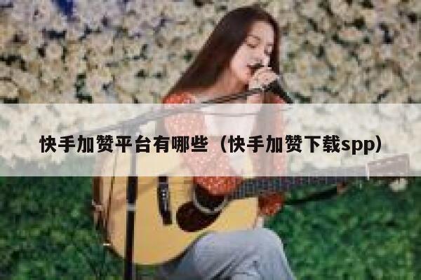 快手加赞平台有哪些（快手加赞下载spp） 第1张