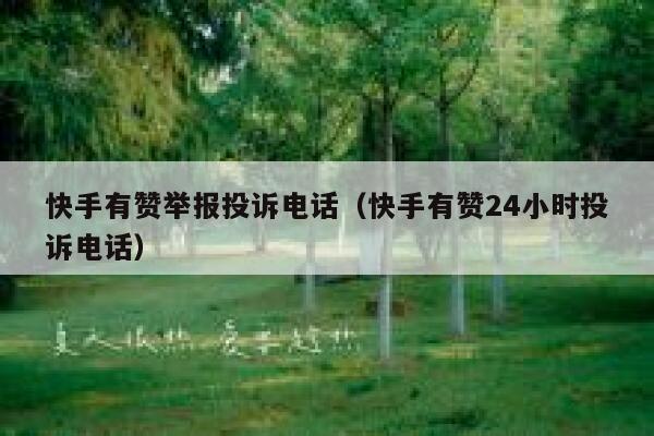 快手有赞举报投诉电话（快手有赞24小时投诉电话） 第1张