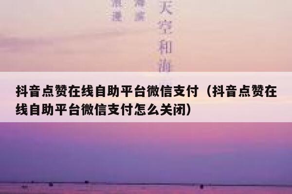 抖音点赞在线自助平台微信支付（抖音点赞在线自助平台微信支付怎么关闭） 第1张