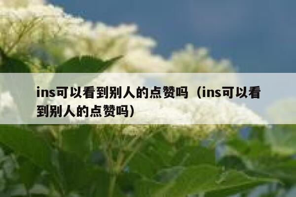 ins可以看到别人的点赞吗（ins可以看到别人的点赞吗） 第1张