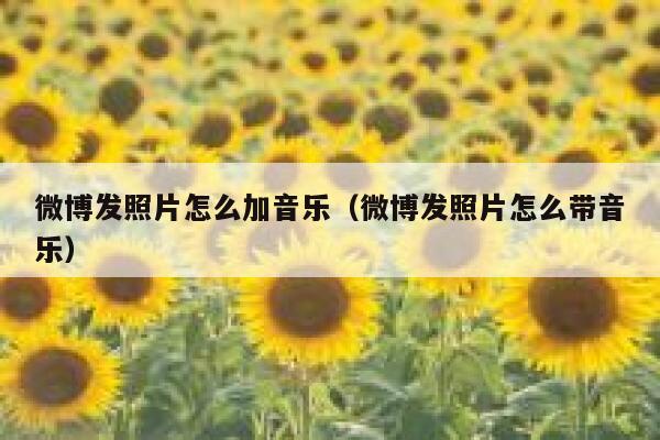 微博发照片怎么加音乐（微博发照片怎么带音乐） 第1张