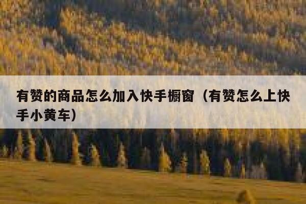 有赞的商品怎么加入快手橱窗（有赞怎么上快手小黄车） 第1张
