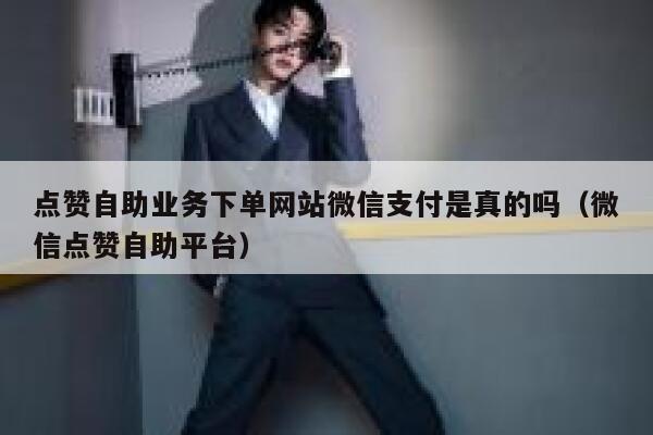 点赞自助业务下单网站微信支付是真的吗（微信点赞自助平台） 第1张