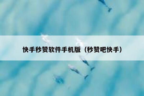 快手秒赞软件手机版（秒赞吧快手） 第1张