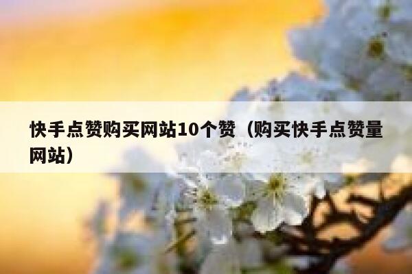 快手点赞购买网站10个赞(购买快手点赞量网站) 第1张 快手点赞购买网站10个赞(购买快手点赞量网站) 第1张