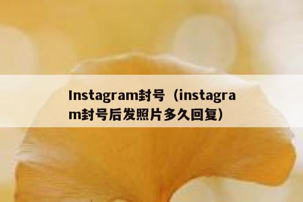 Instagram封号(instagram封号后发照片多久回复) 第1张 Instagram封号(instagram封号后发照片多久回复) 第1张