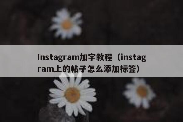 Instagram加字教程（instagram上的帖子怎么添加标签） 第1张