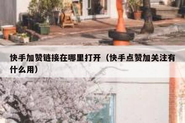 快手加赞链接在哪里打开（快手点赞加关注有什么用） 第1张