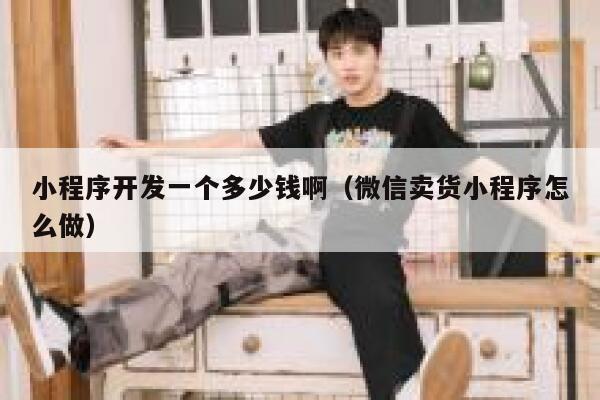 小程序开发一个多少钱啊（微信卖货小程序怎么做） 第1张