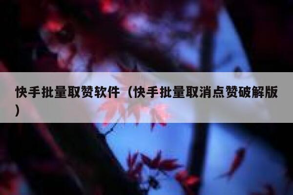 快手批量取赞软件(快手批量取消点赞破解版) 第1张 快手批量取赞软件(快手批量取消点赞破解版) 第1张