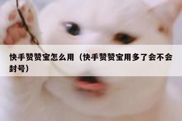 快手赞赞宝怎么用(快手赞赞宝用多了会不会封号) 第1张 快手赞赞宝怎么用(快手赞赞宝用多了会不会封号) 第1张