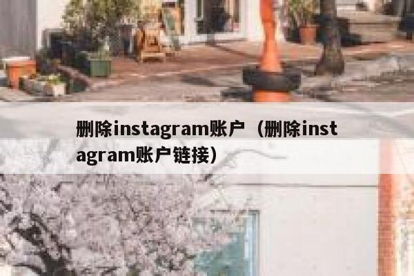 删除instagram账户(删除instagram账户链接) 第1张 删除instagram账户(删除instagram账户链接) 第1张