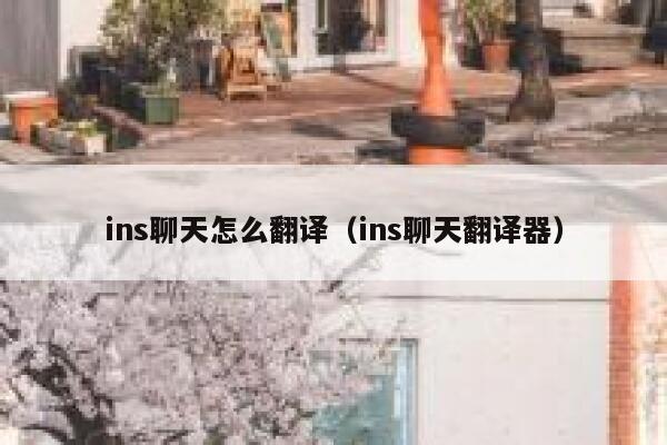 ins聊天怎么翻译(ins聊天翻译器) 第1张 ins聊天怎么翻译(ins聊天翻译器) 第1张