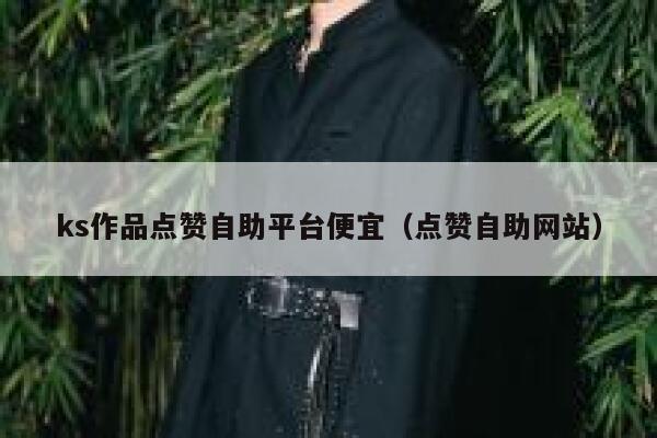 ks作品点赞自助平台便宜（点赞自助网站） 第1张