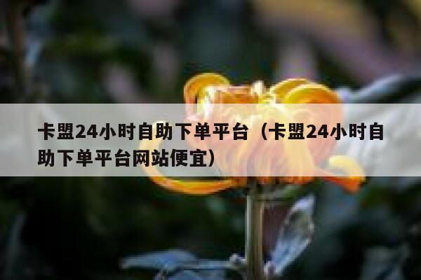 卡盟24小时自助下单平台(卡盟24小时自助下单平台网站便宜) 第1张 卡盟24小时自助下单平台(卡盟24小时自助下单平台网站便宜) 第1张