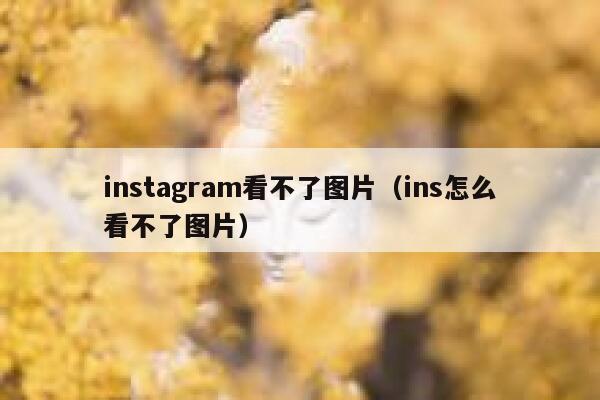 instagram看不了图片(ins怎么看不了图片) 第1张 instagram看不了图片(ins怎么看不了图片) 第1张