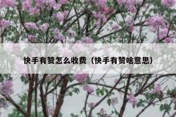 快手有赞怎么收费（快手有赞啥意思） 第1张