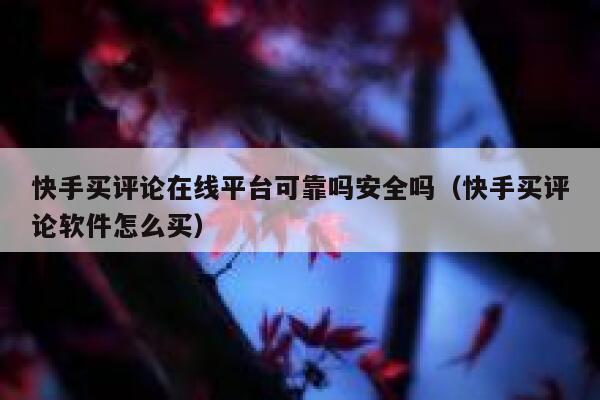快手买评论在线平台可靠吗安全吗（快手买评论软件怎么买） 第1张