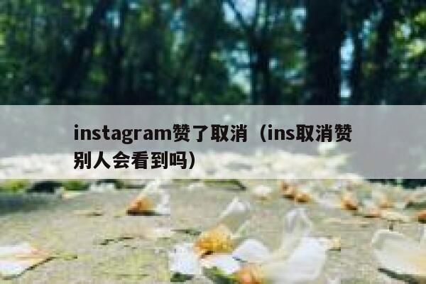 instagram赞了取消（ins取消赞别人会看到吗） 第1张