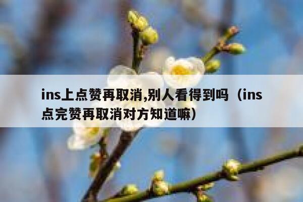 ins上点赞再取消,别人看得到吗（ins点完赞再取消对方知道嘛） 第1张