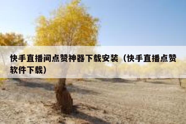 快手直播间点赞神器下载安装（快手直播点赞软件下载） 第1张
