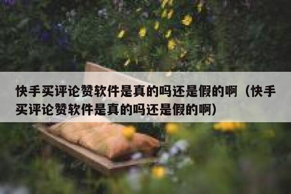 快手买评论赞软件是真的吗还是假的啊（快手买评论赞软件是真的吗还是假的啊） 第1张