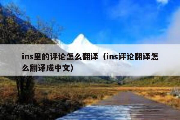 ins里的评论怎么翻译（ins评论翻译怎么翻译成中文） 第1张