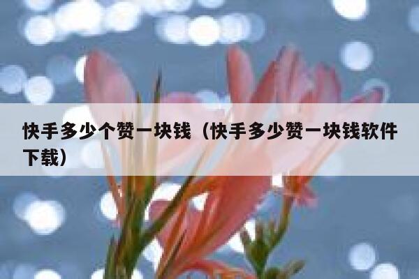 快手多少个赞一块钱（快手多少赞一块钱软件下载） 第1张