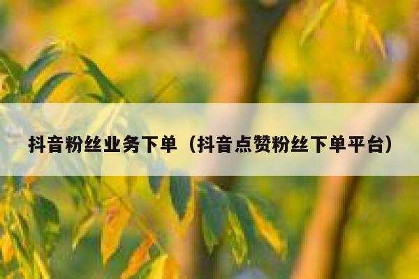 抖音粉丝业务下单（抖音点赞粉丝下单平台） 第1张
