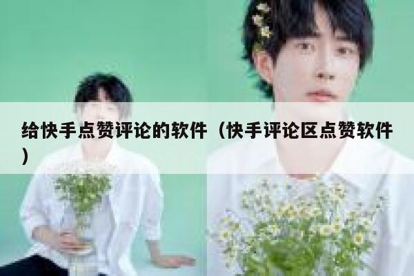 给快手点赞评论的软件(快手评论区点赞软件) 第1张 给快手点赞评论的软件(快手评论区点赞软件) 第1张