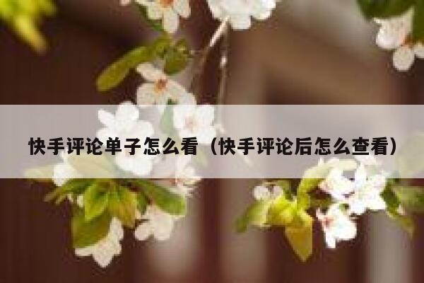 快手评论单子怎么看（快手评论后怎么查看） 第1张
