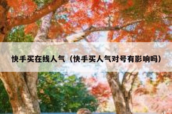 快手买在线人气（快手买人气对号有影响吗） 第1张