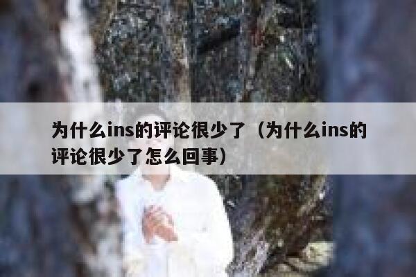 为什么ins的评论很少了（为什么ins的评论很少了怎么回事） 第1张