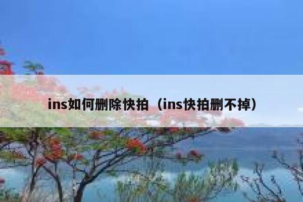 ins如何删除快拍(ins快拍删不掉) 第1张 ins如何删除快拍(ins快拍删不掉) 第1张